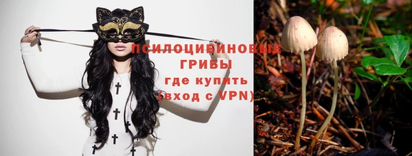 трава Дмитровск