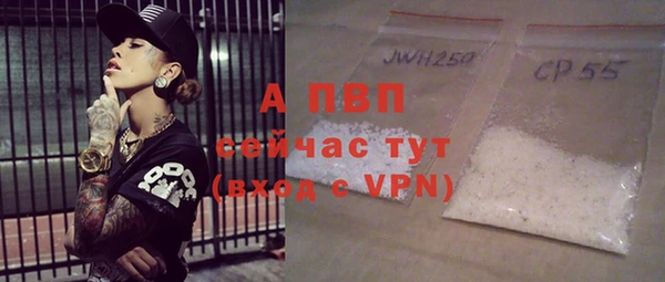 амф Дмитров