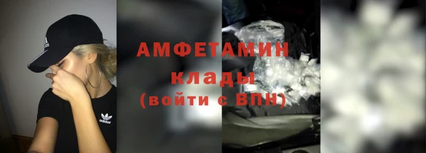 амф Дмитров