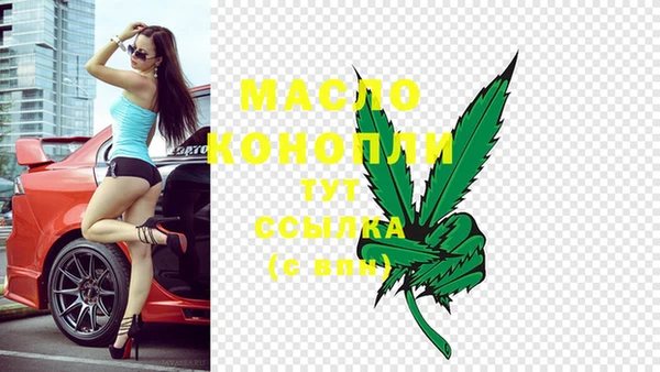 амф Дмитров