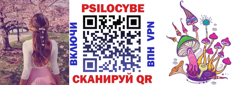 купить  цена  Каменск-Шахтинский  Галлюциногенные грибы GOLDEN TEACHER 
