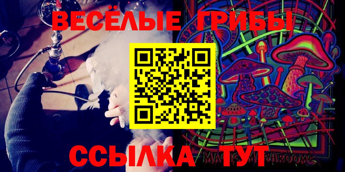 купить наркотики сайты  Галлюциногенные грибы мицелий  Вход с VPN  Каменск-Шахтинский  Псилоцибиновые грибы MAGIC MUSHROOMS 
