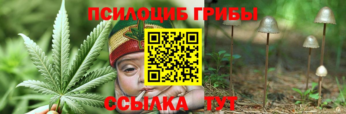 Псилоцибиновые грибы Cubensis Каменск-Шахтинский