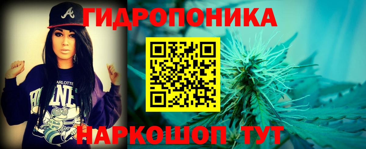 Канабис гибрид  Шишки марихуана план  Вход с VPN  Бошки Шишки гибрид  Каменск-Шахтинский 
